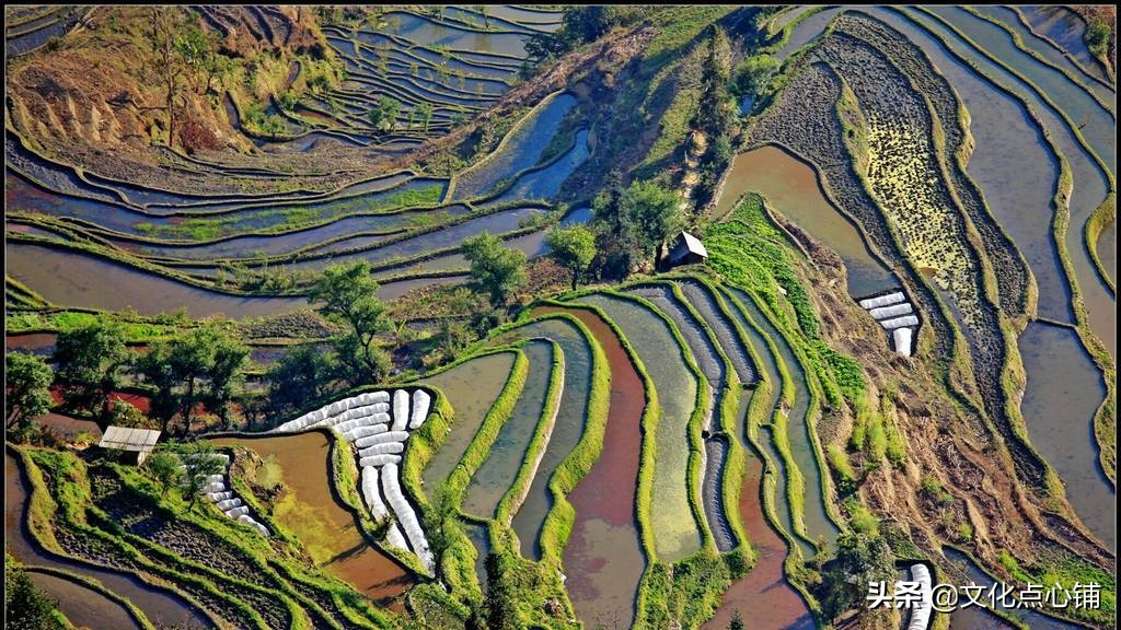 形容乡村风景如画的唯美句子（热爱乡村的优美句子大全）