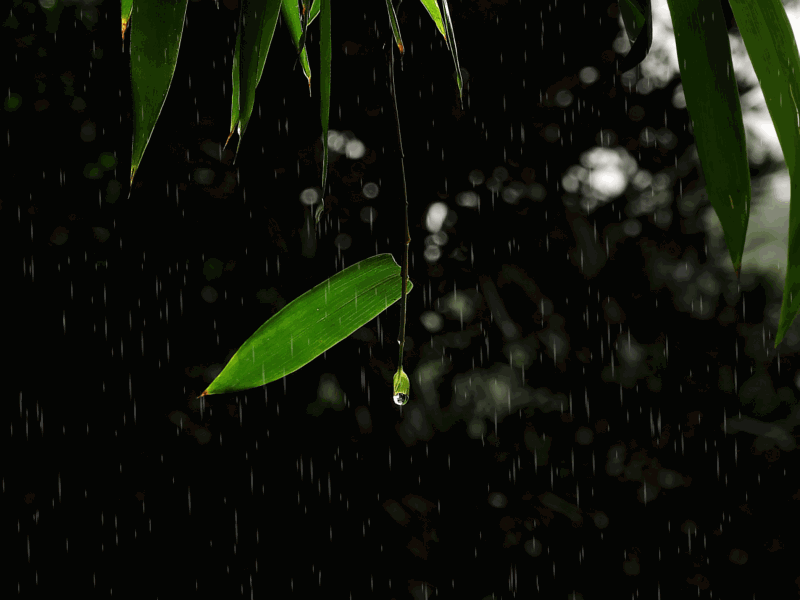 诗雨出自哪首诗（关于描写诗雨的诗句）