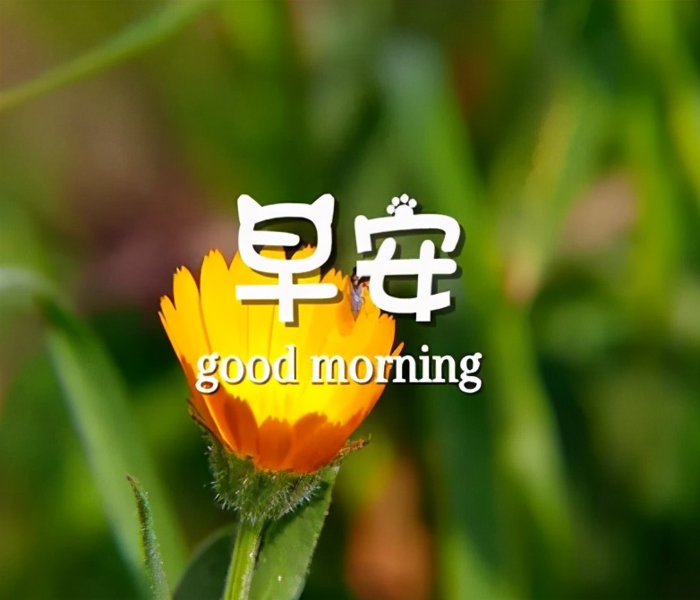关于日出的唯美句子（发朋友圈配日出的正能量心语）