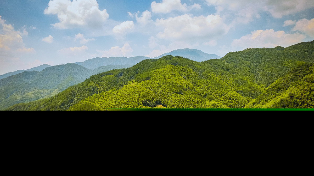 江上古诗王安石的意思（江上诗文赏析和解释）