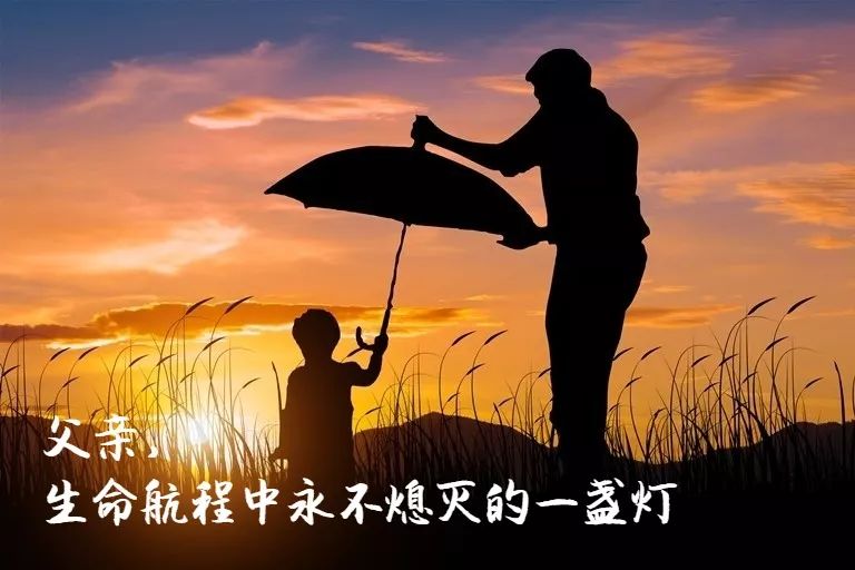 父亲的散文诗歌词（写给父亲的散文诗歌词）