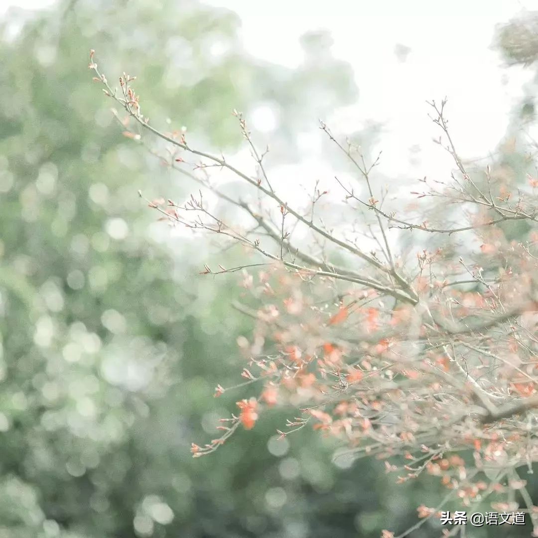 描写春天的现代短诗（以春天为主题的10首现代诗歌）