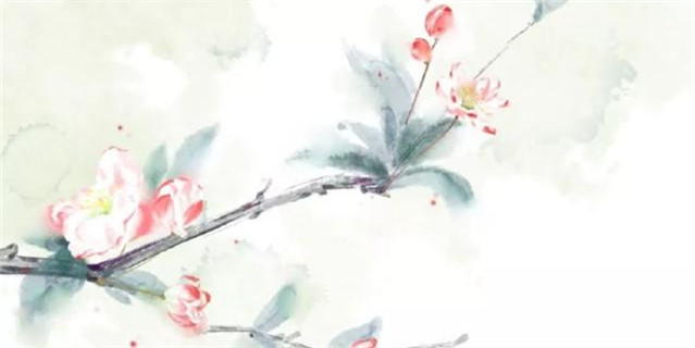 蝴蝶的诗句有哪些（关于蝴蝶的唯美短句）