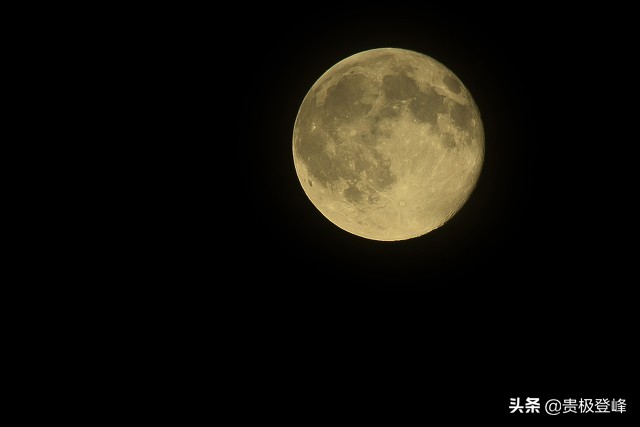 共看明月应垂泪的意思（共看明月应垂泪的下一句）