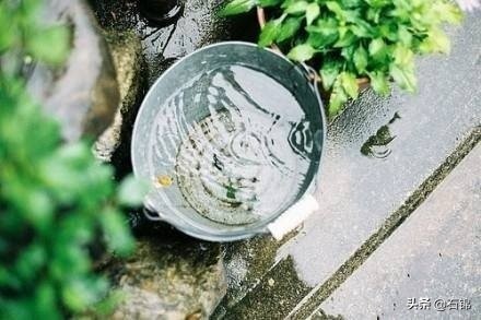 幸福的诗句有哪些（关于幸福的唯美古诗）