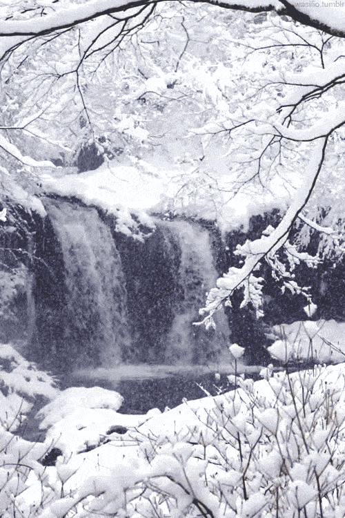 关于雪的诗词有哪些（赞美雪景的十首古诗词赏析）