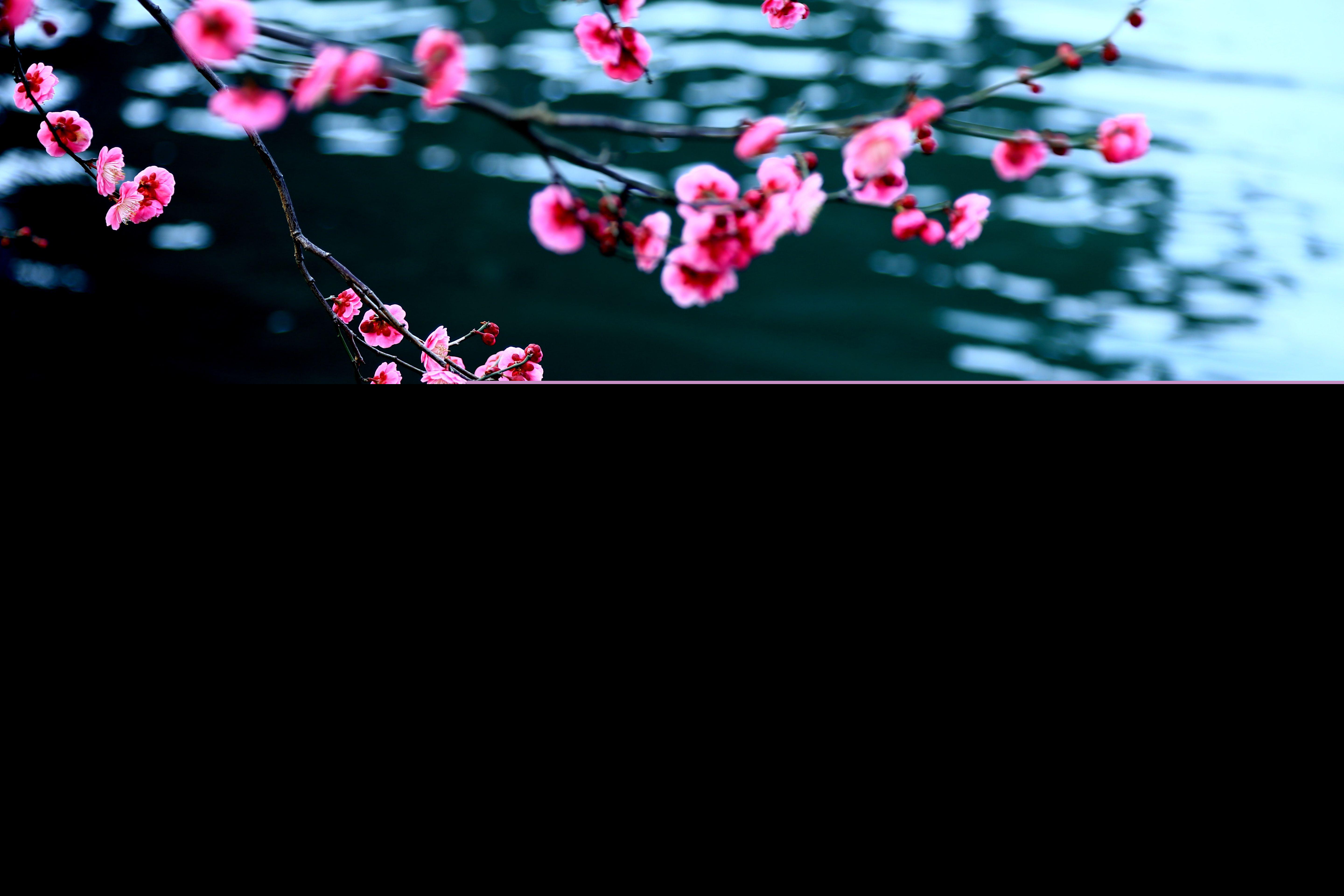 有关春的散文（描写春的文章著名散文）
