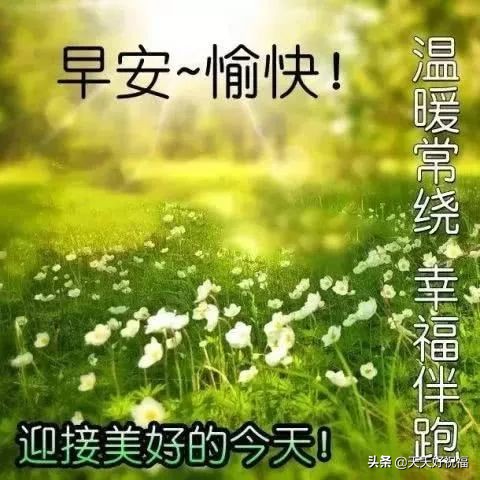 抖音上祝福朋友的句子（一句最友谊暖心的短句）