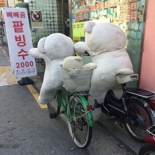 独自旅行的文案（一个人旅行精辟的句子）