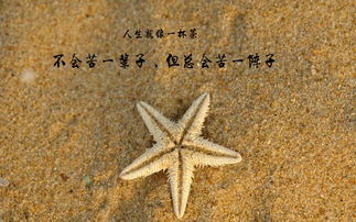 开心健康快乐的句子（平安健康的短语）