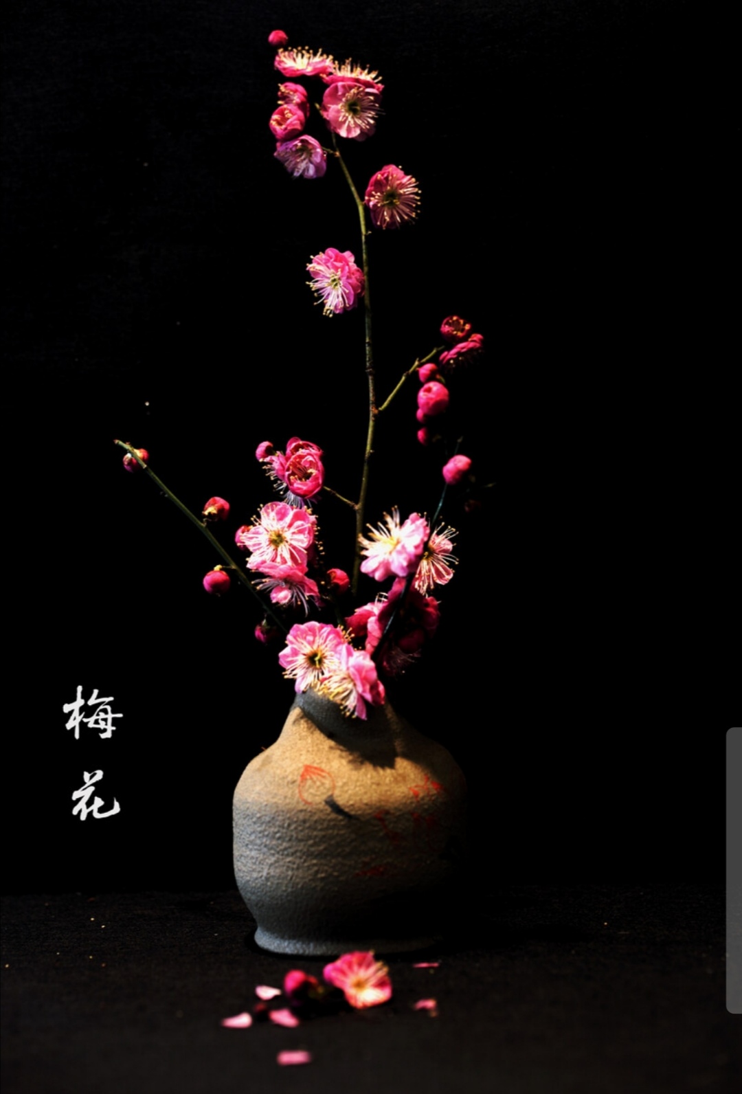 自强不息的诗句名言（关于自强不息的好段摘抄）