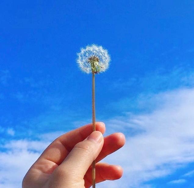 表达珍惜现在的句子（适合发朋友圈正能量短句）