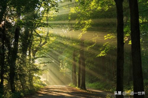 我的座右铭名人名言有哪些（最值收藏的名言名句）