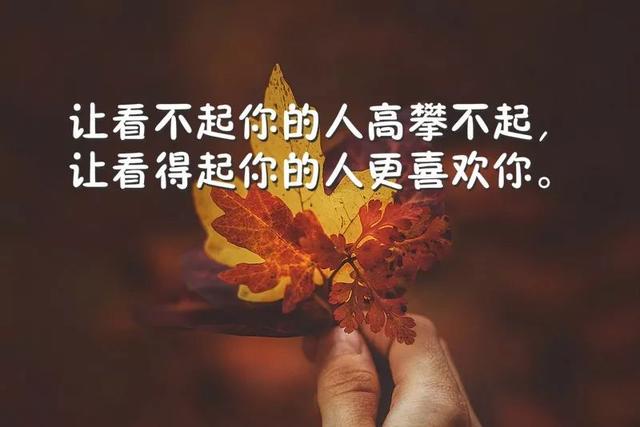 说到心坎的句子说说（经典人生短句分享）