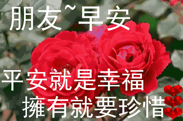 祝福朋友的简短话语（感谢朋友的一段话）