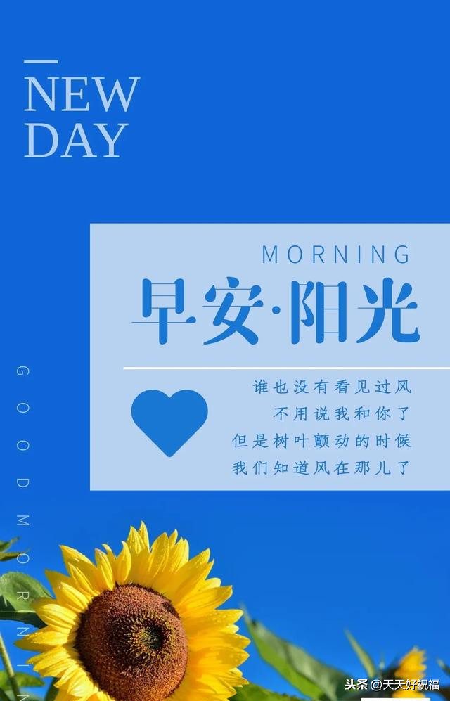 关于早上锻炼的心情说说（每日运动感言一句话）
