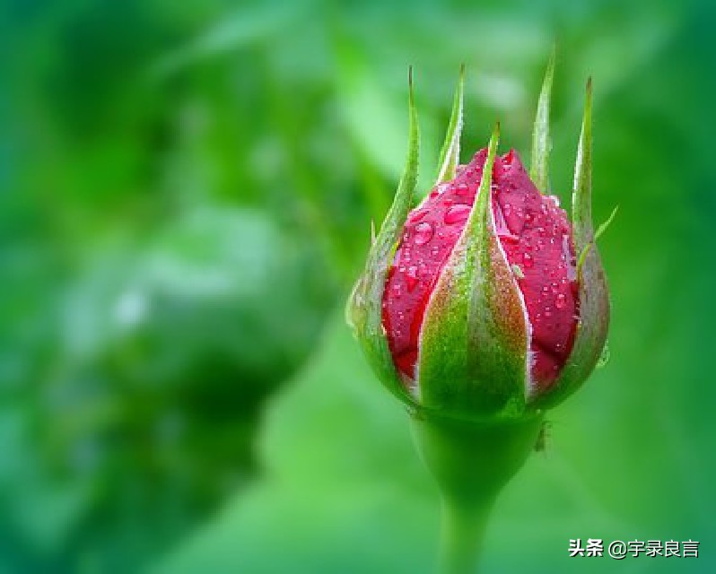 抖音人生如戏的经典短句（人生如戏的经典语录）