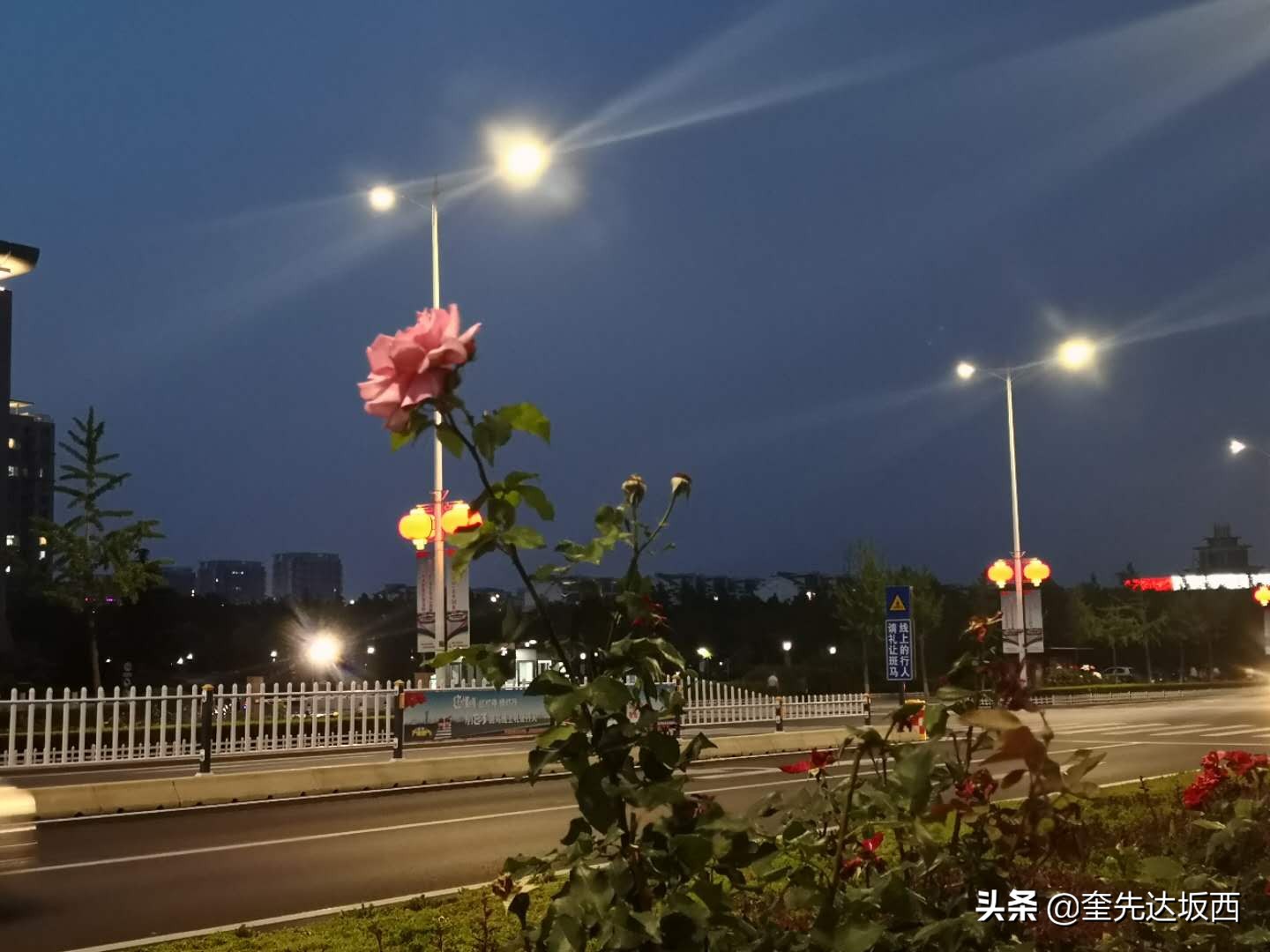 形容男人责任感诗句（形容责任感强的诗句）