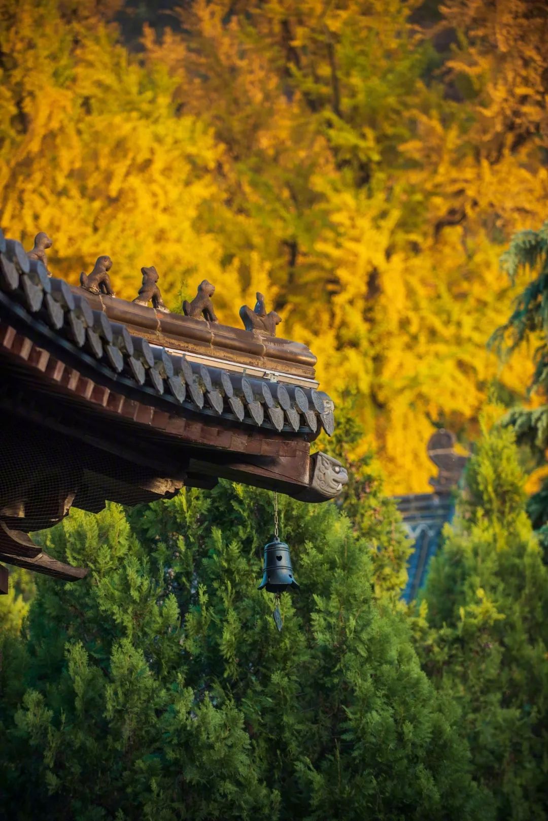 关于秋天的散文诗（写秋天的散文）