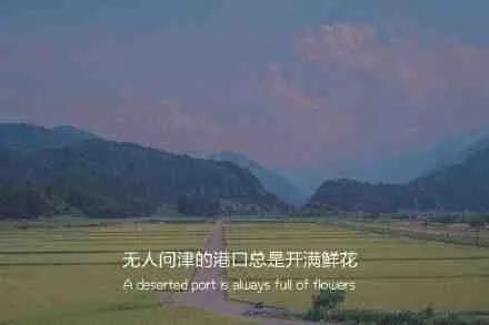 平静的心情的句子（平静自己心静的句子）