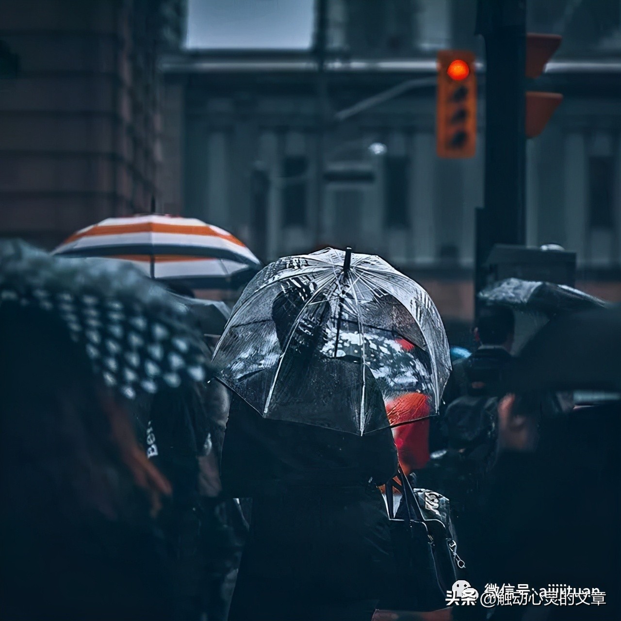 最让人心疼的伤感语录短句（2021年情感语录）