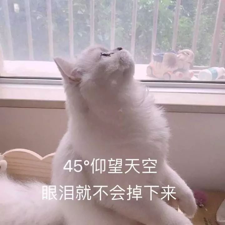 在幼儿园过生日的说说（祝幼儿园宝贝生日句子）