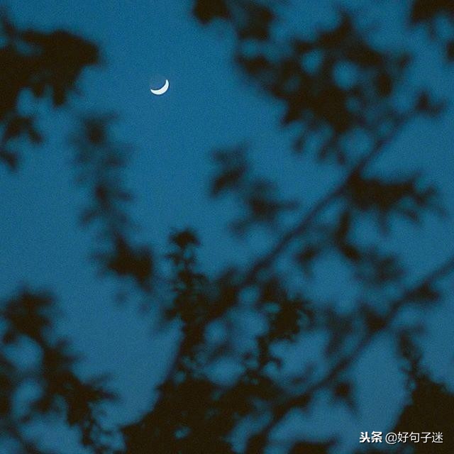 晚安语录经典语录暖心（最暖心晚安心语哲理一句话）