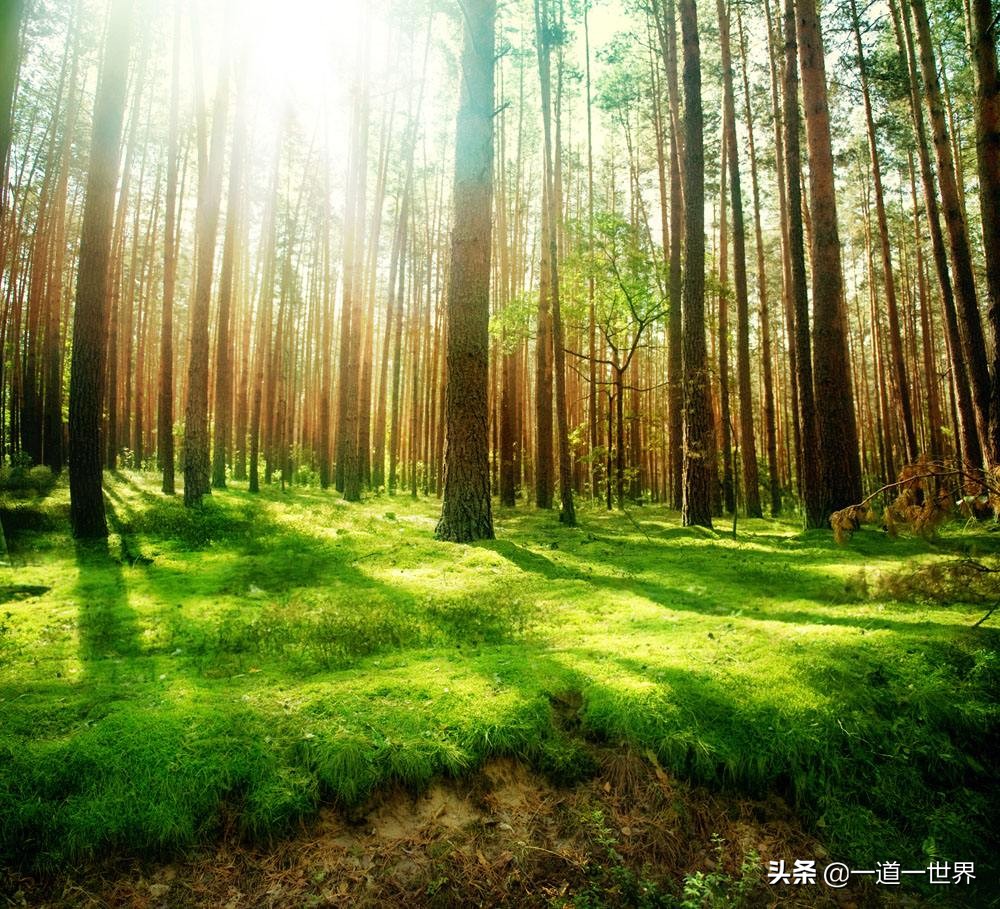 我的座右铭名人名言有哪些（最值收藏的名言名句）