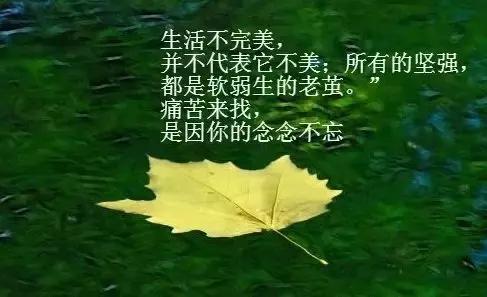 每天保持好心态的说说简短（积极向上的心情说说）