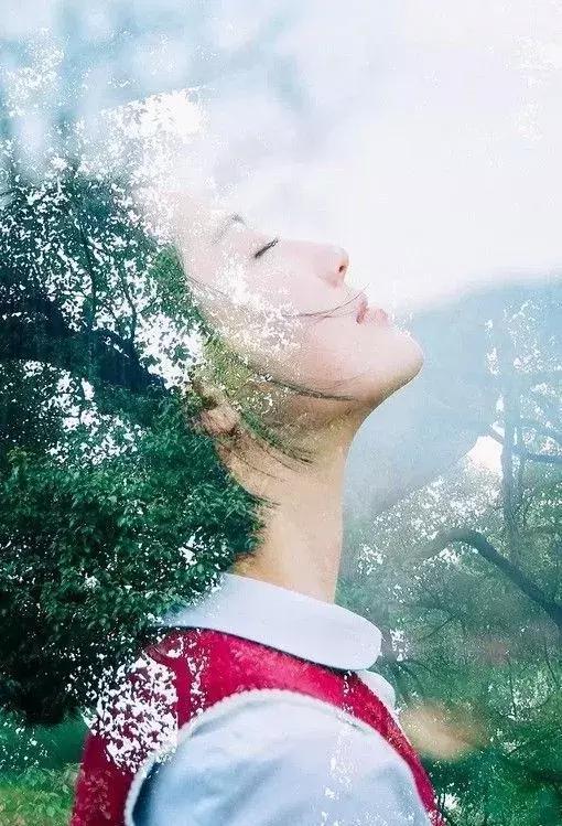 优美现代诗歌精选（优美的短篇诗歌分享）