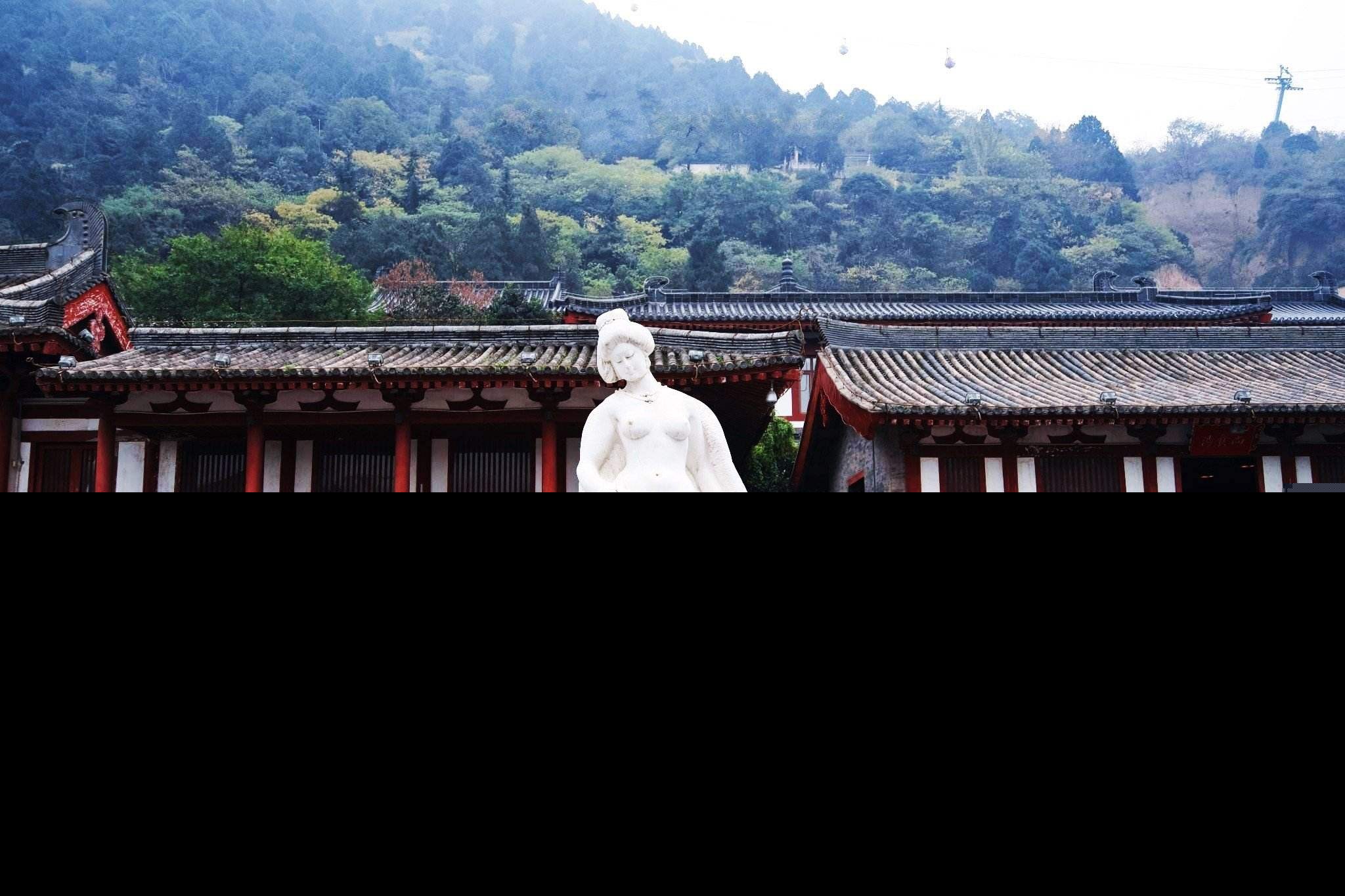 人生如初见何事秋风画悲凉的意思（人生最美如初见下一句）