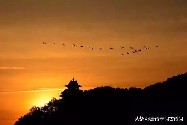 描写夕阳的诗句有哪些（关于夕阳的诗句大全）