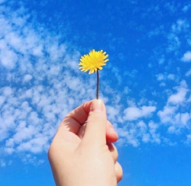 表达珍惜现在的句子（适合发朋友圈正能量短句）