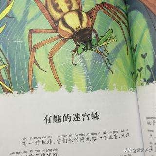 昆虫记精彩片段摘抄（昆虫记好句好段赏析及摘抄）