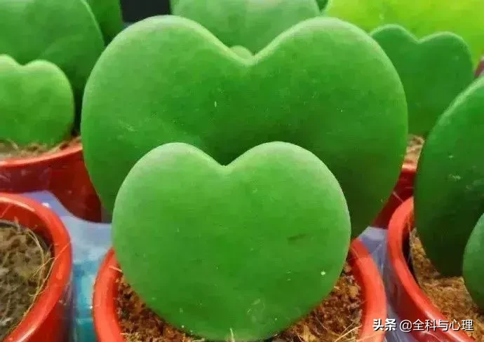唯美的句子致自己简短（三观超正的温柔句子）