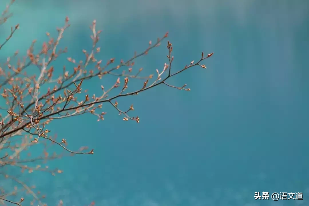 描写春天的现代短诗（以春天为主题的10首现代诗歌）