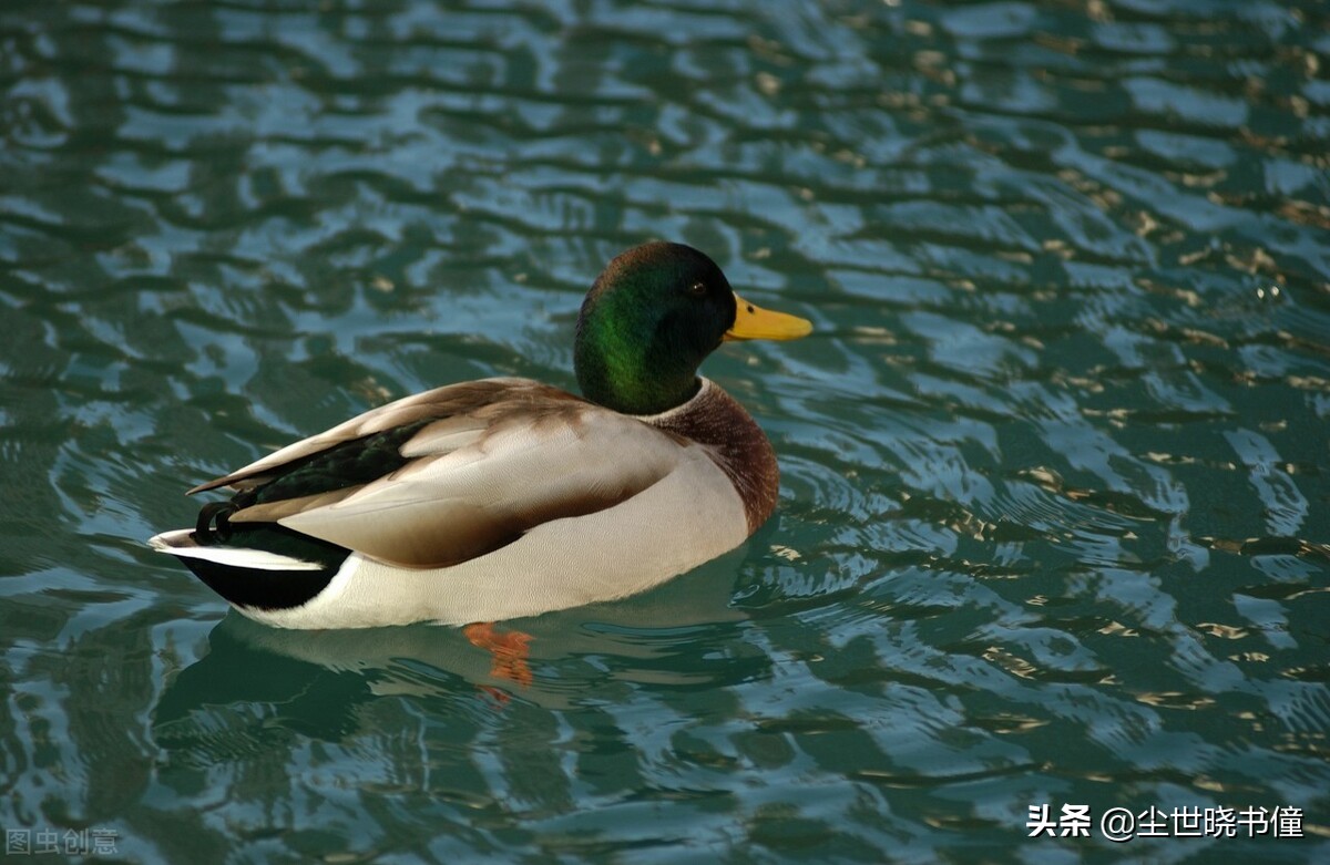 大自然空气清新的句子（感受大自然的新鲜空气）