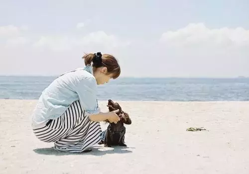 生活的无奈与艰辛句子（一秒泪崩的句子）