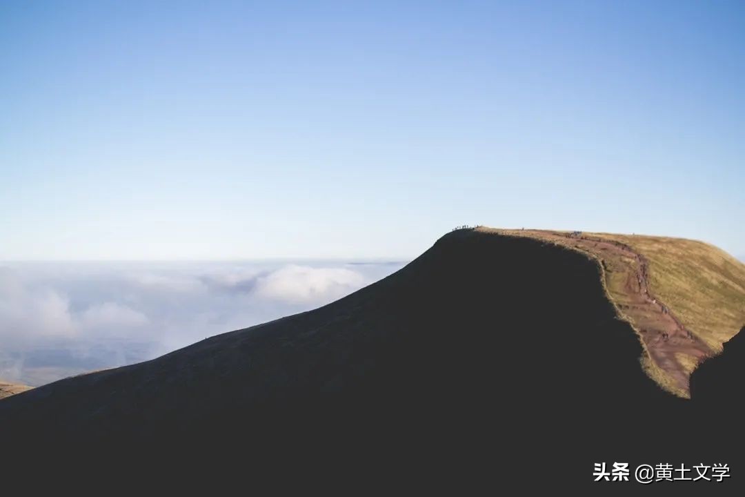 赞美母爱的诗歌有哪些（关于母爱的诗歌短一点）