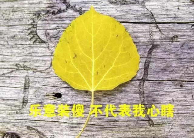 每天保持好心态的说说简短（积极向上的心情说说）