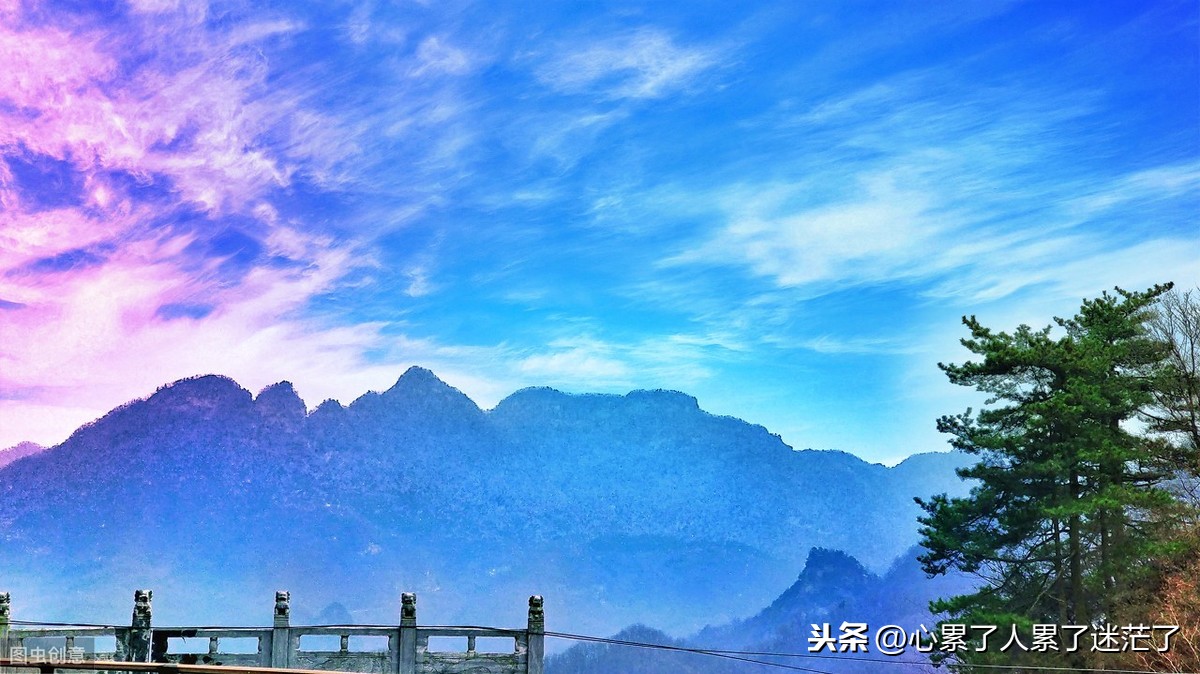 情感文章人生感悟（情感语录经典短句）