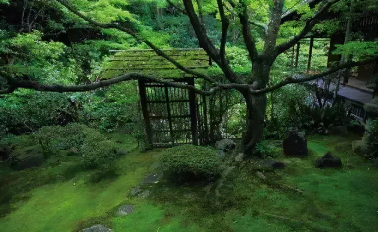溪上遇雨二首其二的意思（溪上遇雨二首赏析 ）