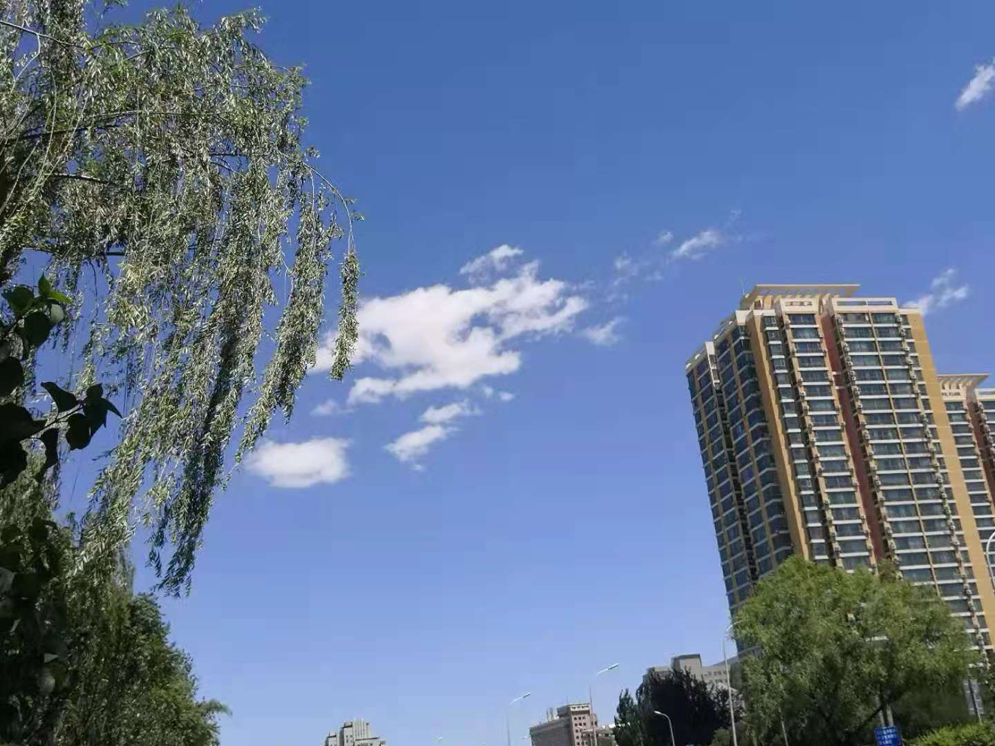 描写小溪的句子短句（描写小溪的优美段落摘抄）