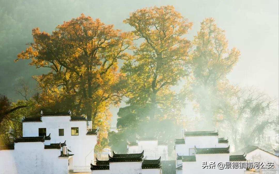 田园风光诗句有哪些（描写秋天田园风光的诗句）