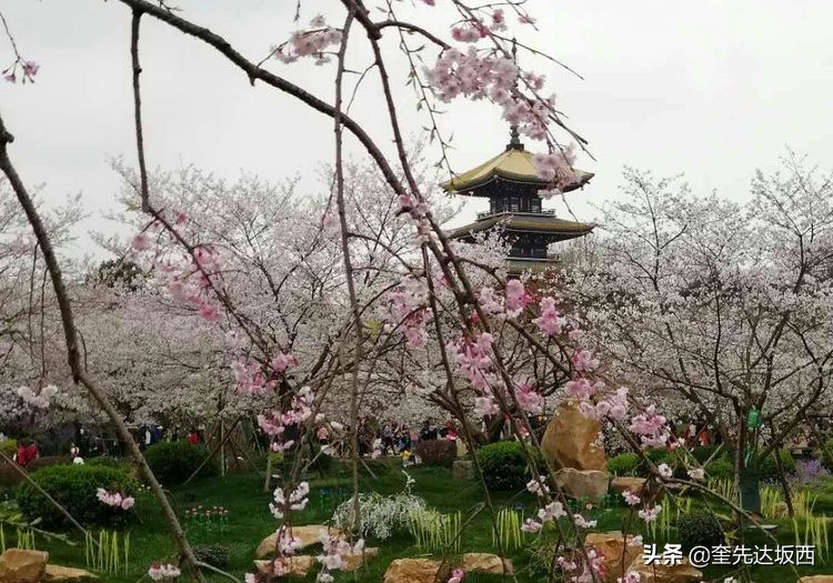 春天的诗句景色现代诗（春天的诗歌现代诗分享）