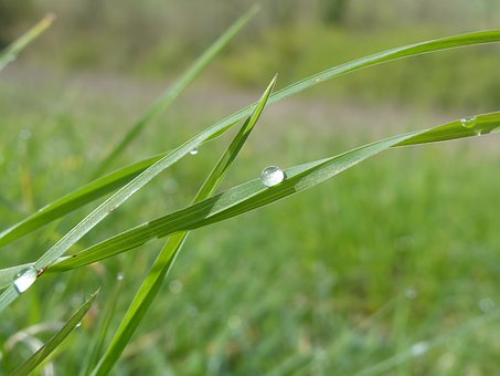 写夏雨的诗句古诗（描写夏天雨景的优美诗句）