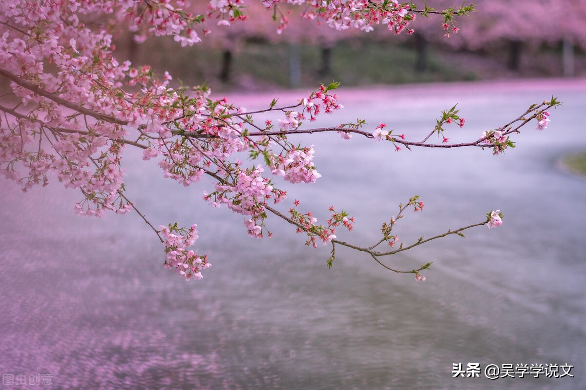 赞美春天诗句（描写春天的优美短句）