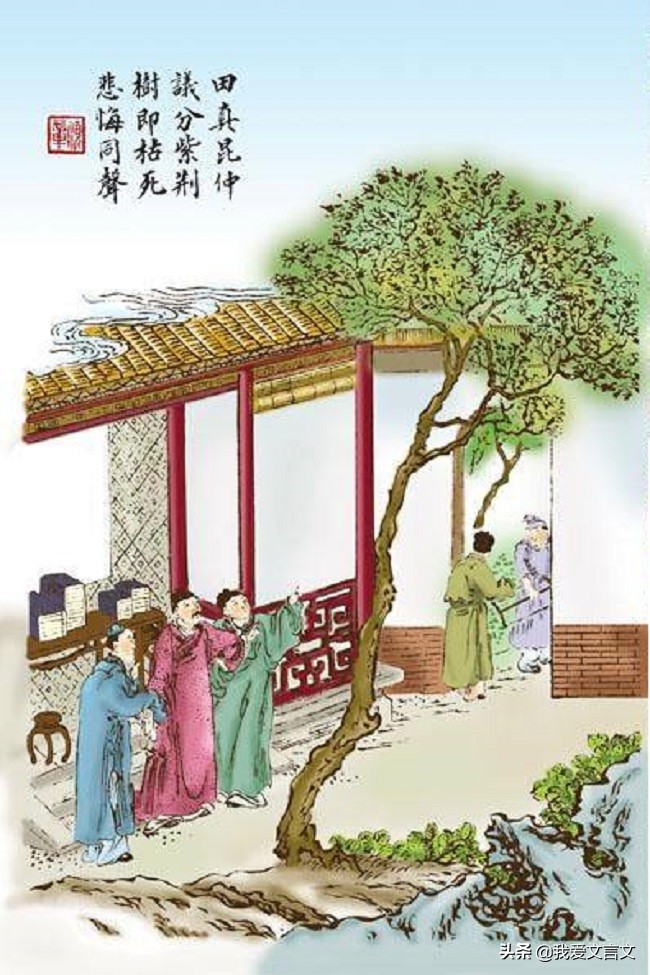 田真兄弟文言文翻译及注释（田真兄弟文言文启示）