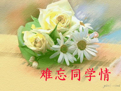 表达同学情谊的经典句子（同学情感语录短句）