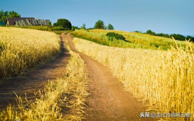 表达游子思念家乡的优美短句（适合发朋友圈想家的句子）